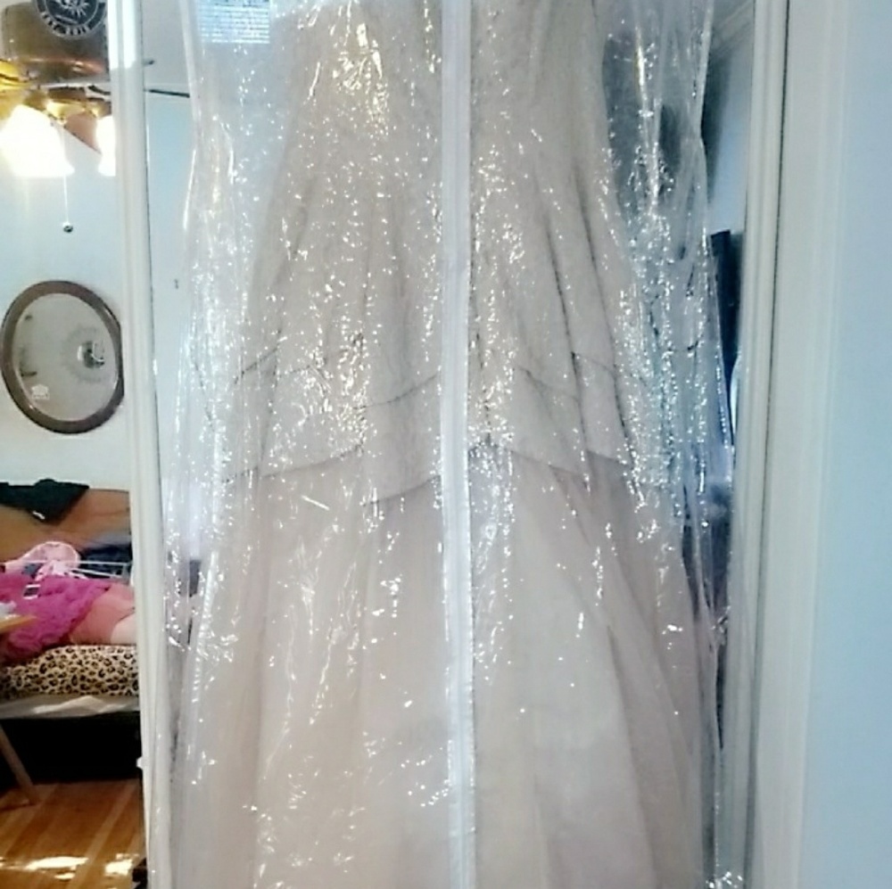 Prom Dress - Picture 3 of 3